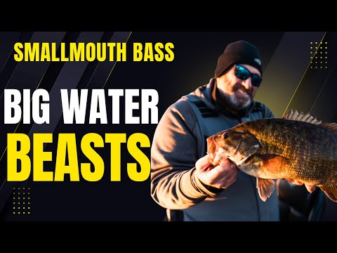 Lake Erie GIANTS CRUSH a Berkley Power Swimmer! - Dave Mercer's Facts of Fishing 1603