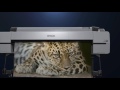 Epson SureColor SC-P10000, SC-P20000 Features