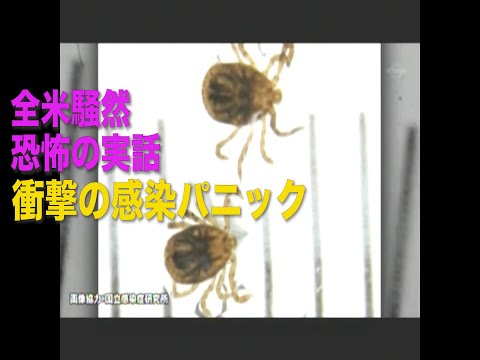 衝撃の實話!全米騷然の感染パニック動畫