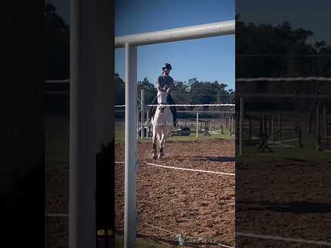 i js want him back please.