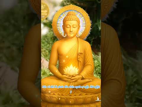 Khổ đau chỉ ở lại cho đến khi ta học được bài học mà nó mang đến. #loiphatday #nhanqua #loiphatday