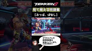 【鉄拳8】見て覚える用語集【ぶっぱ、ぱなし】