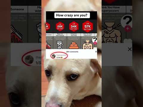 #memes #story #dog #shorts #pets