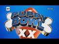 Puppy Bowl celebrates 20 years  - 01:05 min - News - Video