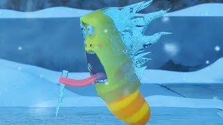 Larva - Zima