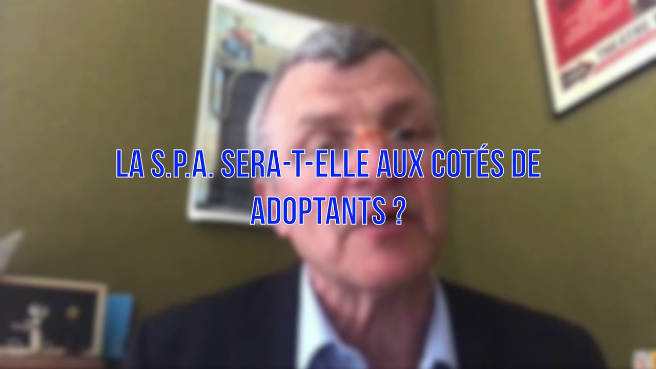 Yvelines | Ouverture des « adoptions solidaires » pour les animaux
