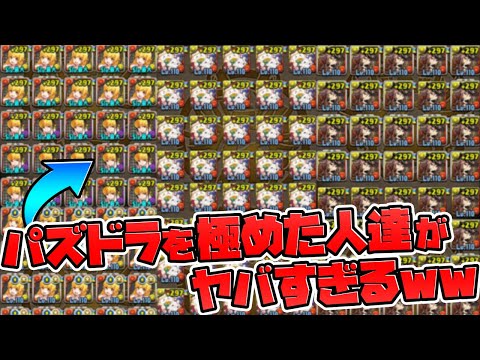 【ガチ勢】パズドラを極めた人たちがヤバすぎるｗｗｗｗｗｗｗ
