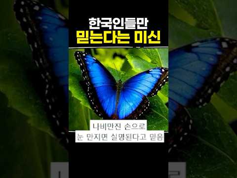 한국인들만 믿는다는 미신