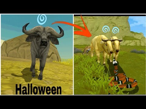 New animals in Halloween