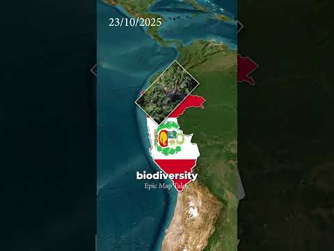 Here are the happiest world news in 24 hours 🌍✨ #HeroMom #TexasBravery