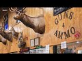 2021 Texas laws made access to guns easier  - 01:41 min - News - Video