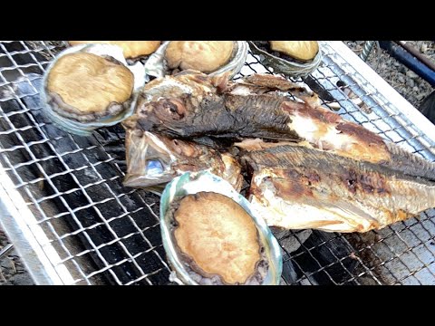 裏のボスがいらしたので一緒に焼肉を食べてみようと思います。