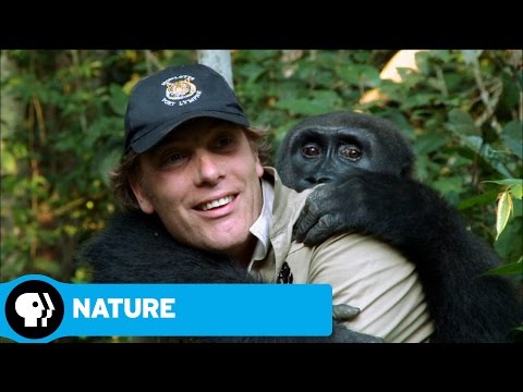 Nature: Animal Reunions'