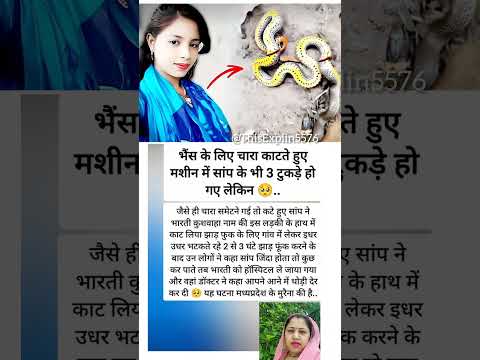 भैंस के चारे में सांप था 🥺2025