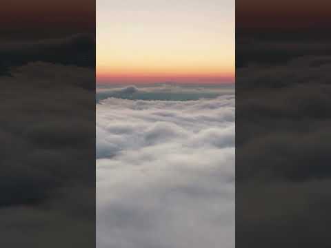 Honest & True - Mr Jason Wayne