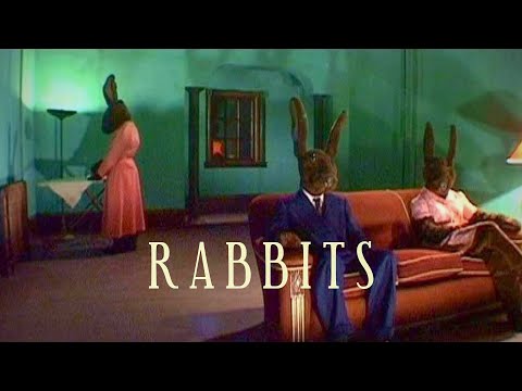 Rabbits'