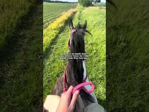 #horse #equestrianjourney #horseenthusiast #stopanimalabuse #horsefan #pony #youareoneofakind