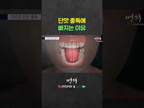 단 음식 먹으면 도파민이 나온다고?🍭