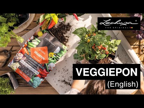 Planting Substrate VEGGIEPON | LECHUZA | English