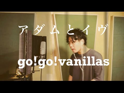 【歌ってみた】ロックバンドのボーカルが アダムとイヴ / go!go!vanillas 歌ってみた【カバー】