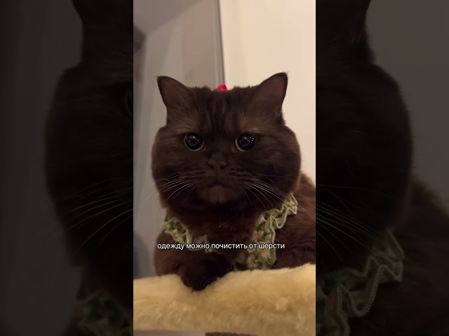 Дети быстро растут