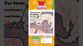 mi hurón 😸 #humor #fandub