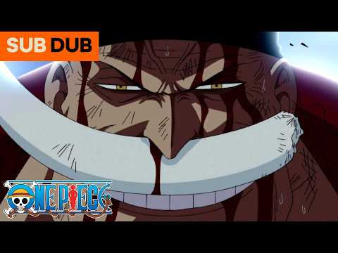 THE ONE PIECE IS REAL | One Piece