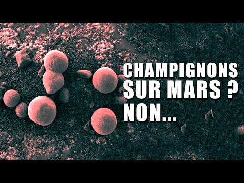 A-t-on réellement découvert des champignons sur Mars ? (non)