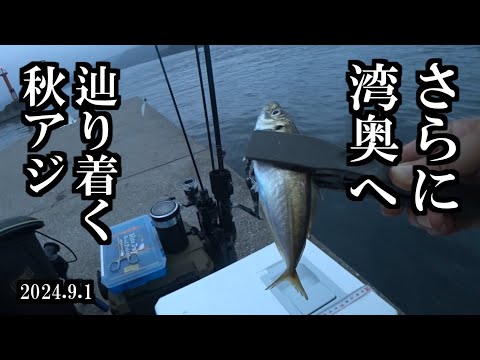 【岩手アジング】足で釣る秋アジ　三陸つりしとがんせ　vol 83