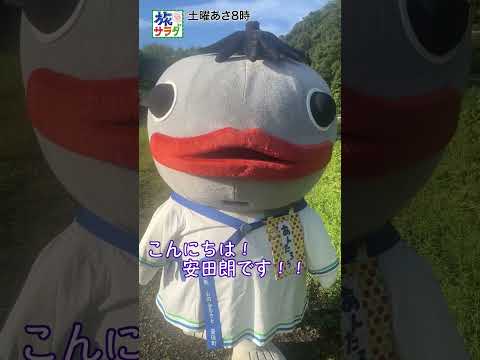 【救世主登場!?】7月19日は高知県安田町から生中継!