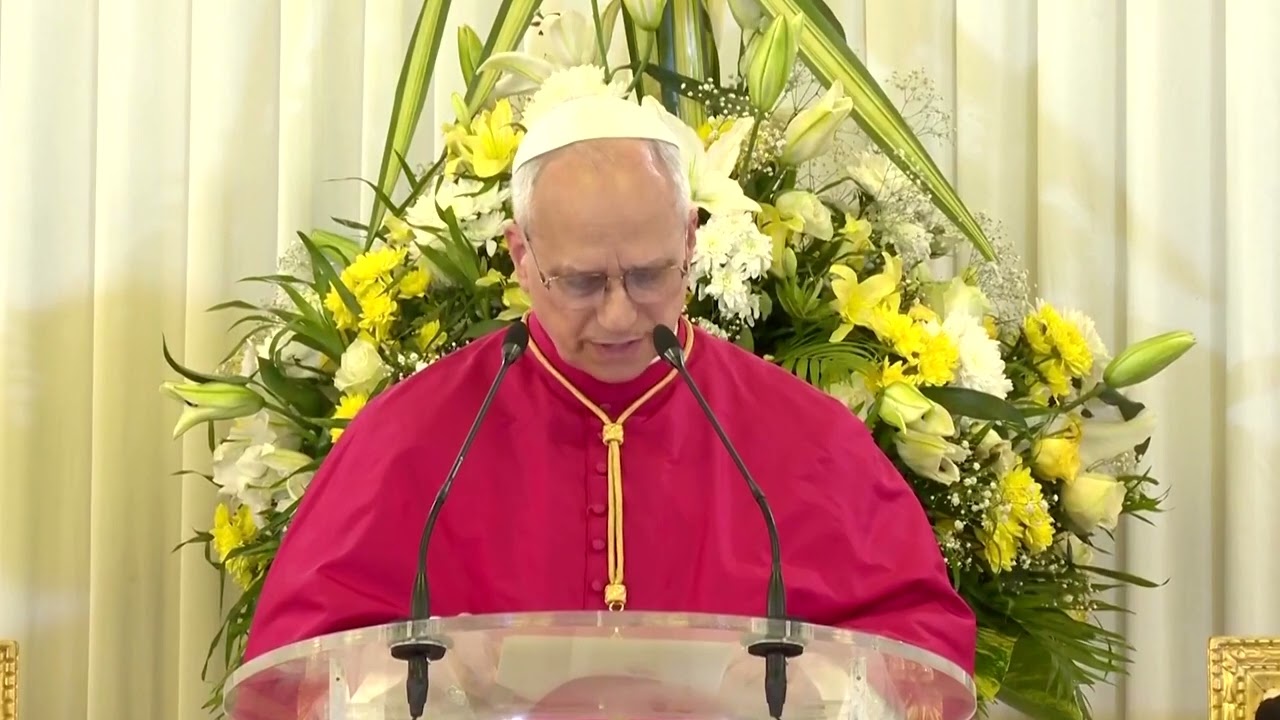 Pope Leo warns peace threatened by 'whims of rich and powerful'