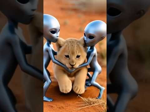 Cute Lion 🥰/#RanjitSmartAI #ai #cute #artificialintelligence #cartoon #Video #turtle #shorts