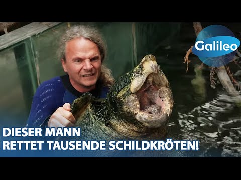 3000 gepanzerte Mitbewohner: Dieser Mann rettet tausende Schildkröten!