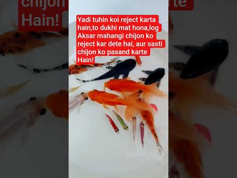 🐠A P J Abdul kalam motivational speech# shorts# ytshorts# youtubeshorts #apj Abdul kalam# motivation