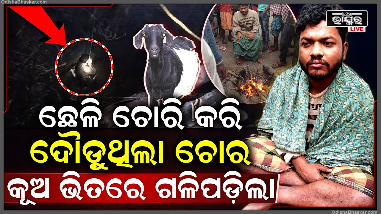 ଛେଳି ଚୋରି କରି ମାଲେମାଲ ହୋଇଥାନ୍ତା ଚୋର...ଅନ୍ଧାରରେ କୂଅରେ ପଡିଲା ଚୋର..ଉଦ୍ଧାର ପରେ କହିଲା ଏମିତି କଥା