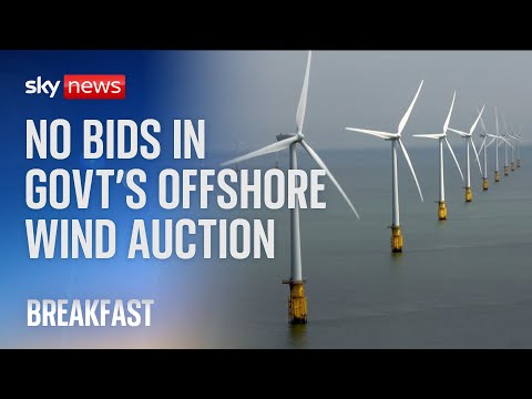 Green Energy: No firms bid for offshore wind contracts