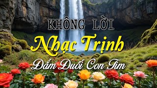 Nhạc Không Lời Trịnh Công Sơn, Đắm Đuối Con Tim, Hòa Tấu Guitar Xưa Chữa Lành Tinh Thần
