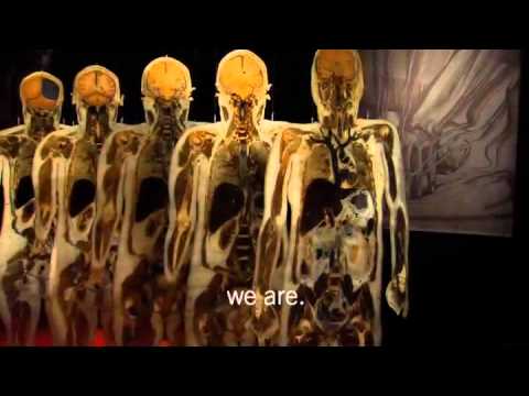 Gunther von Hagens BODY WORLDS: The Original Exhibition