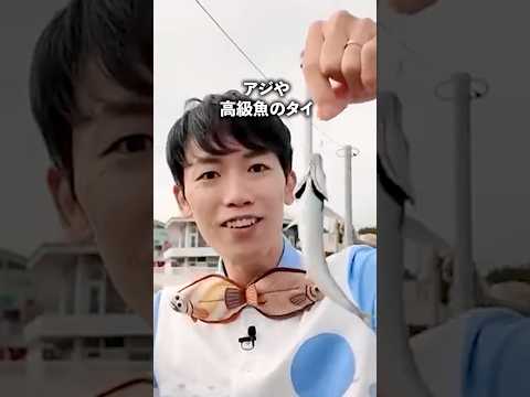 猫の動画サムネイル - 釣りができちゃう水族館🎣！？