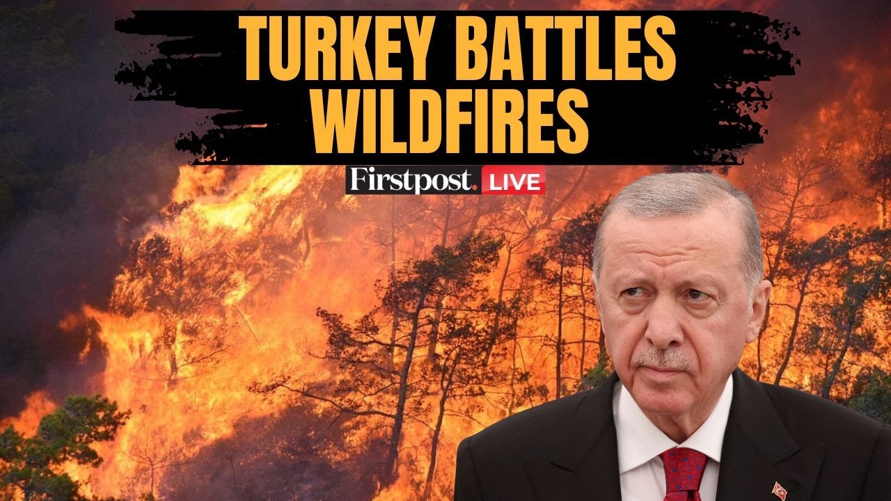 Turkey Wildfires LIVE: Over 50,000 Evacuated as Wildfires Rage Through Izmir for Second Straight Day