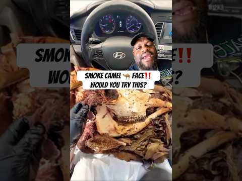 Smoked Camel face. Would you try this ?