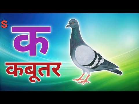 अ से अनार आ से आम, हिंदी वर्णमाला, अआइईउऊ, क से कबूतर,a se anar,aa se aam,हिंदीस्वरब्यंजन #kidssong​