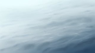 【原創歌曲】漂 流【解凍三色豆】[CC字幕]
