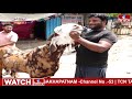 వామ్మో...మేకపోతు విలువ ఏడు లక్షలా..? | Goat Cost 7 Lakhs | Jordar Varthalu | hmtv  - 00:54 min - News - Video