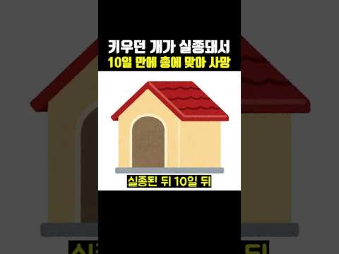 키우던 개가 <strong>실종</strong> 10일 만에 총에 맞아 사망