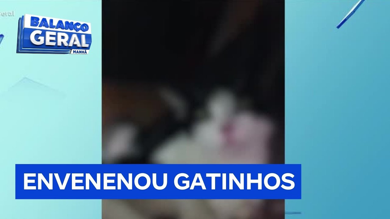 Mulher é presa por envenenar dez gatos após ser demitida de ONG