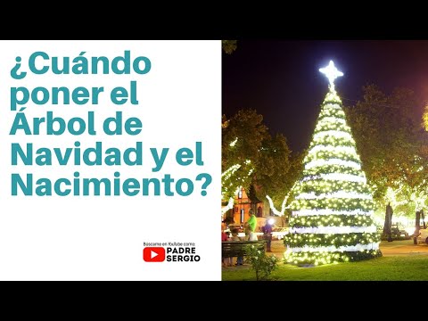 Cuándo poner el Árbol de Navidad y el Nacimiento?. - Salmo da Bíblia