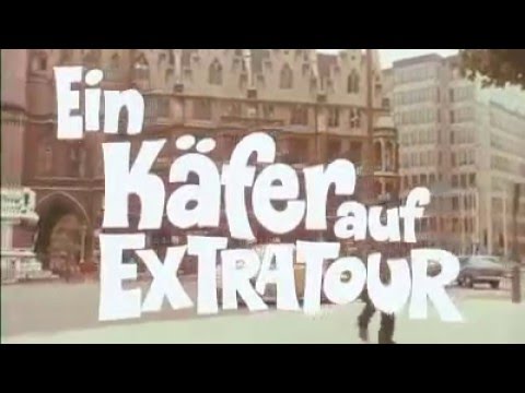 Ein Käfer auf Extratour'