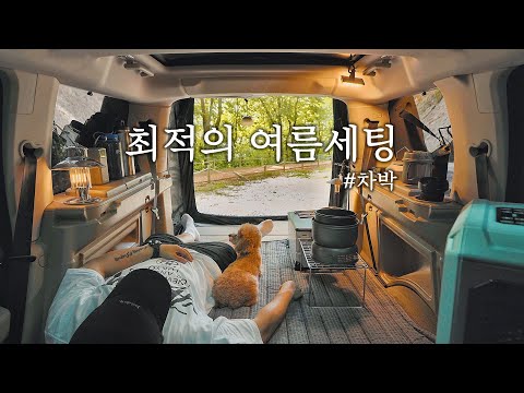 캠핑 브이로그 . 숨막히는 폭염 강아지와 시원하게 보낼 아늑한 공간만들기 . 여름 차박. 둘레길 트레킹 ASMR