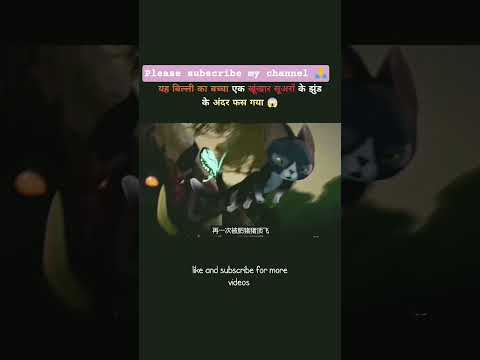 बिल्ली का बच्चा || please subscribe my channel 🙏 #trendingshorts